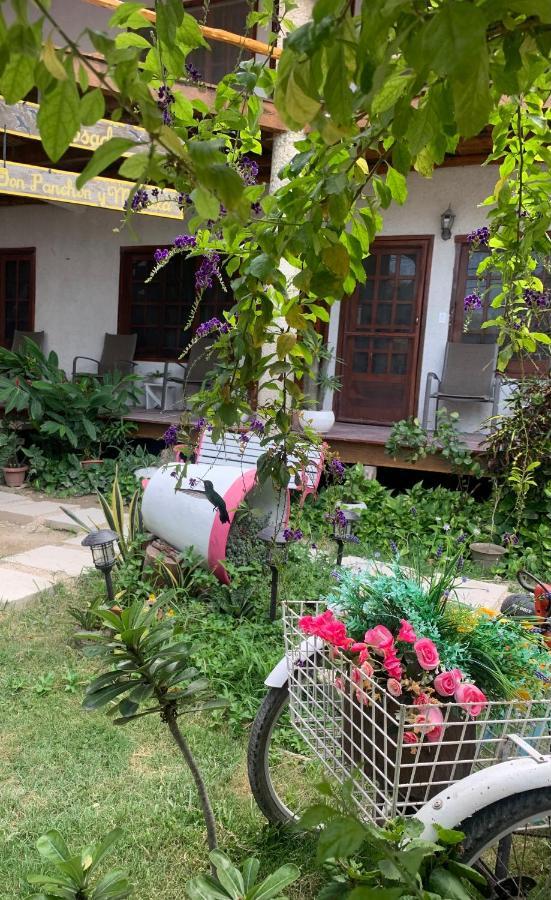 Don Panchon Y Maruxa Hotel Isla Holbox Екстериор снимка