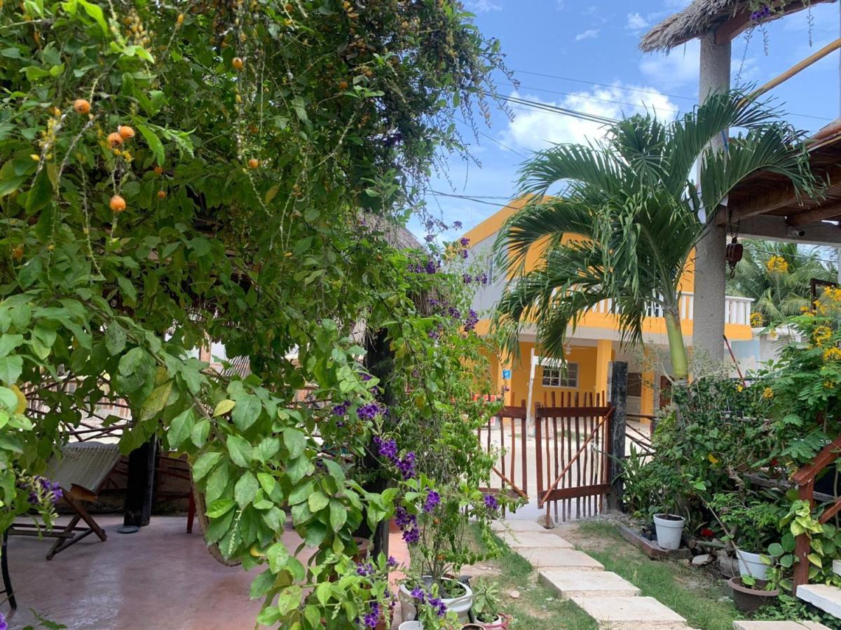 Don Panchon Y Maruxa Hotel Isla Holbox Екстериор снимка